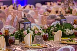 Fabulous Quinceanera at Red Oak Ballroom San Antonio